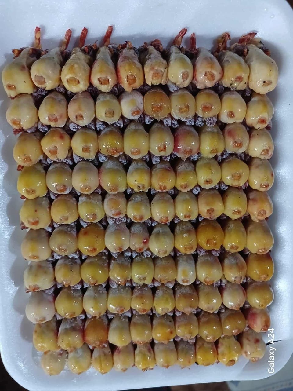 WhatsApp Image 2025-11-09 at 12.38.16 PM