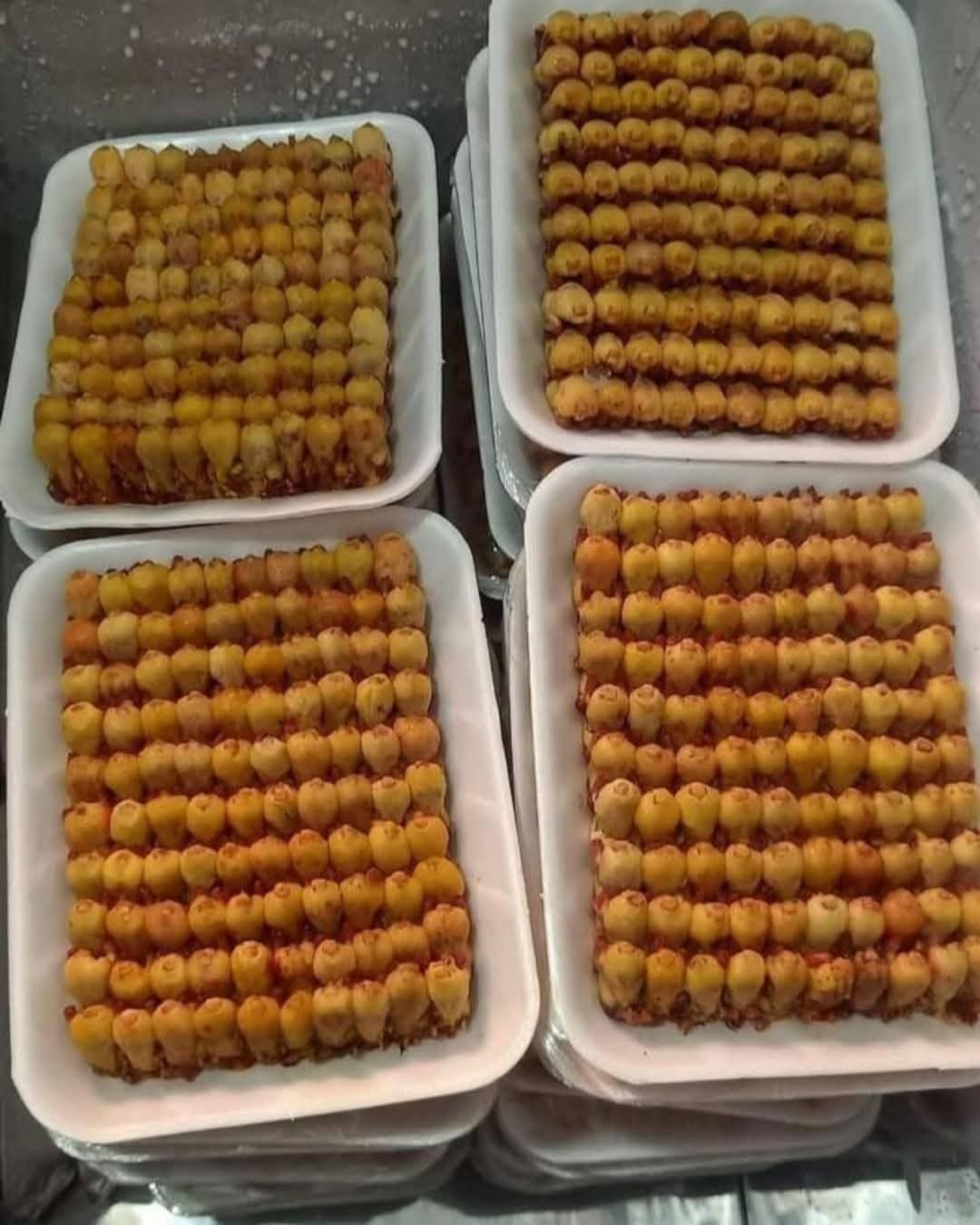 WhatsApp Image 2025-11-09 at 12.38.18 PM