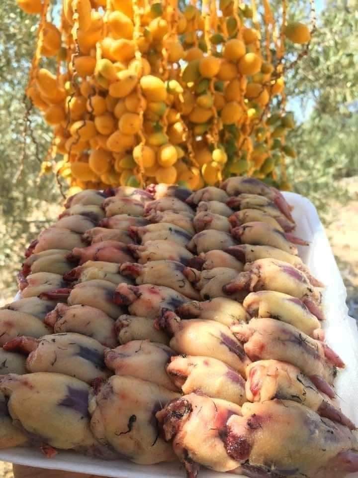 WhatsApp Image 2025-11-09 at 12.38.20 PM